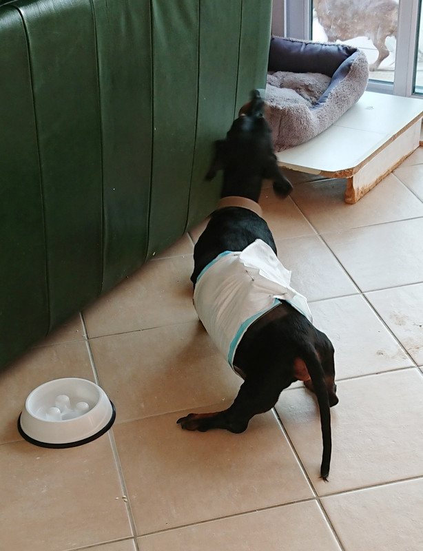 [Image: 20220402-084637.jpg]