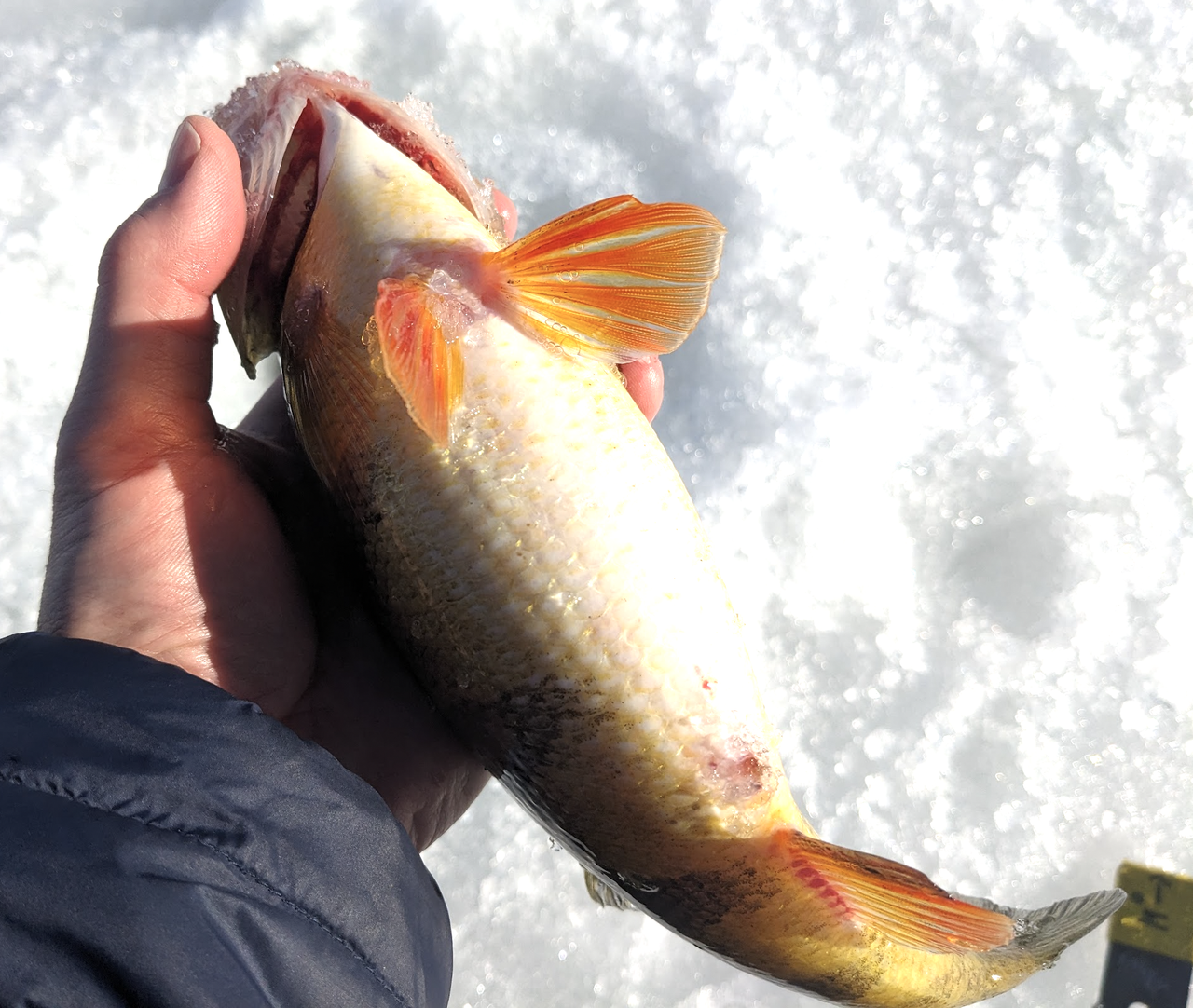 Screenshot 2026 03 01 at 6 53 34 AM