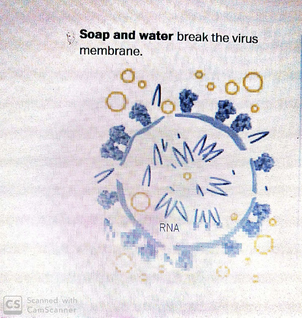 soap-breaks-membrane