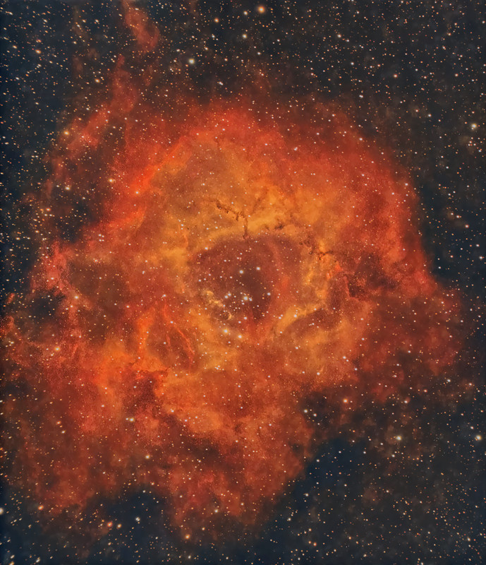 rose-1hr-52min-cal-20s.jpg