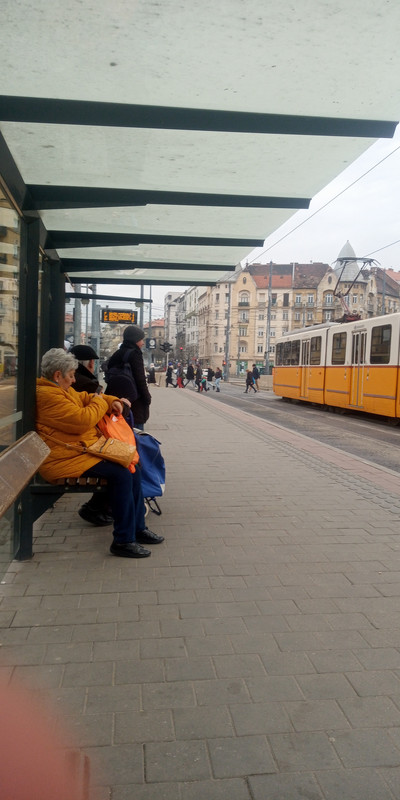 Kép