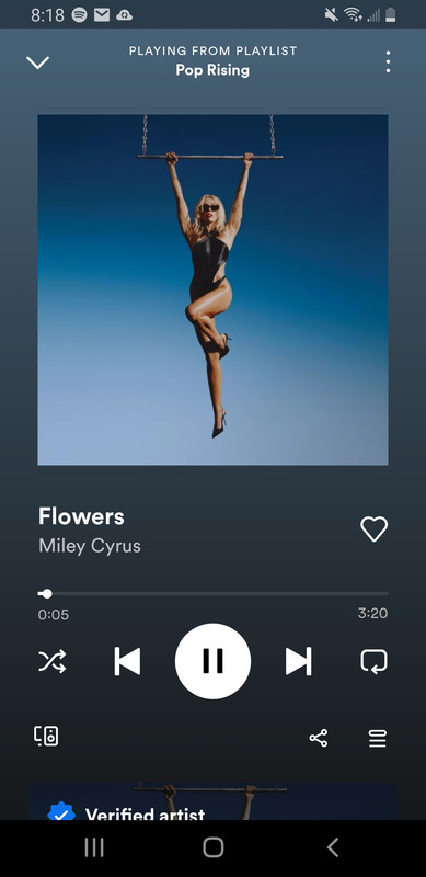 Screenshot-20230124-201833-Spotify.jpg