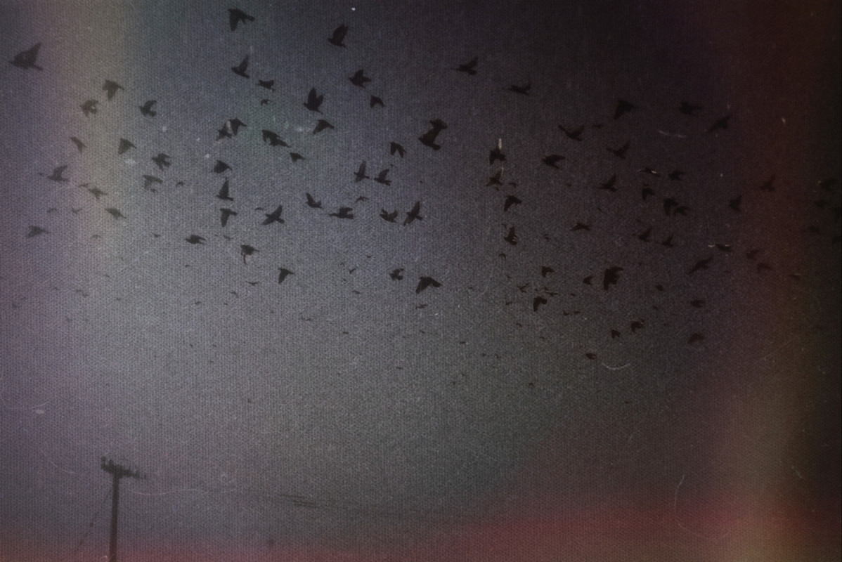 1-1-1-textures79-003 (1) (1)