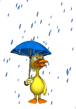 Animated_rain