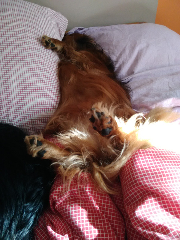 [Image: IMG-20211029-130938.jpg]