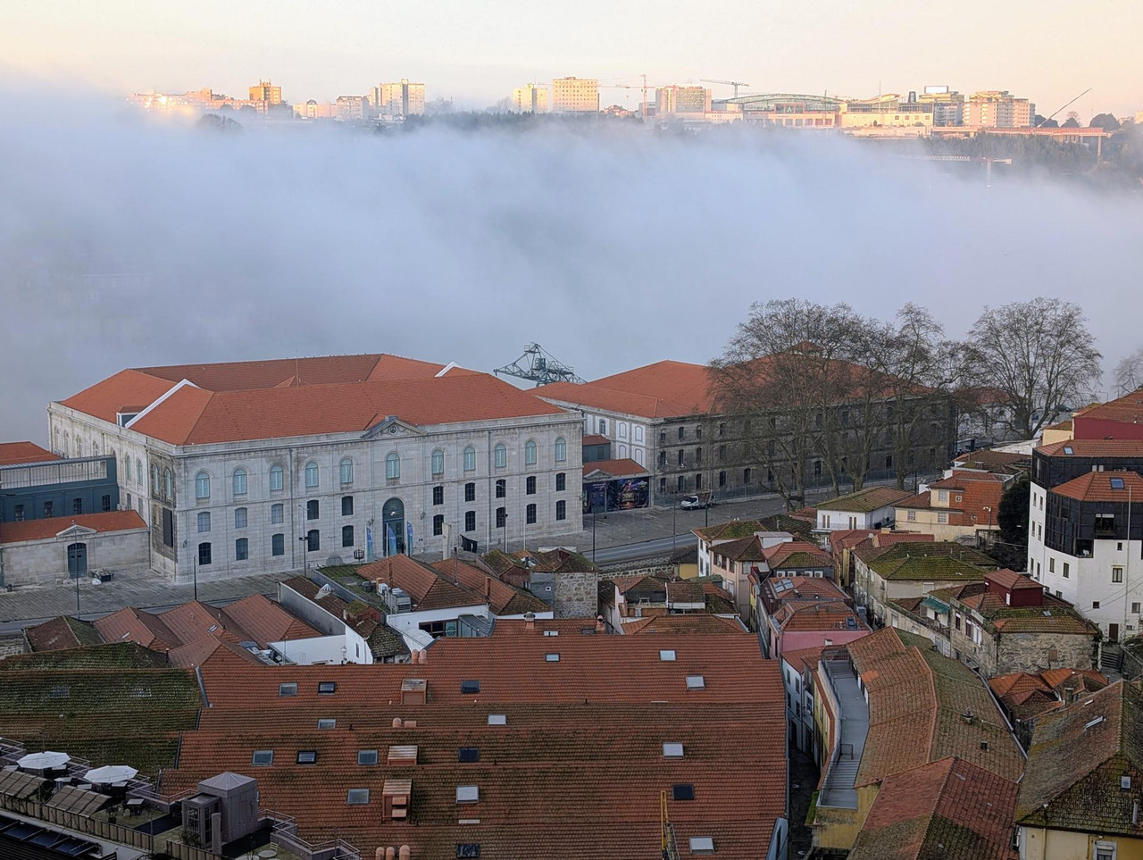 PXL 20260228 072332765 MP 2