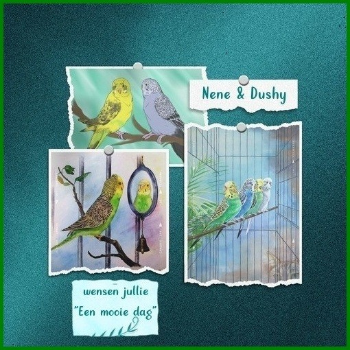 Welkom bij Dushy