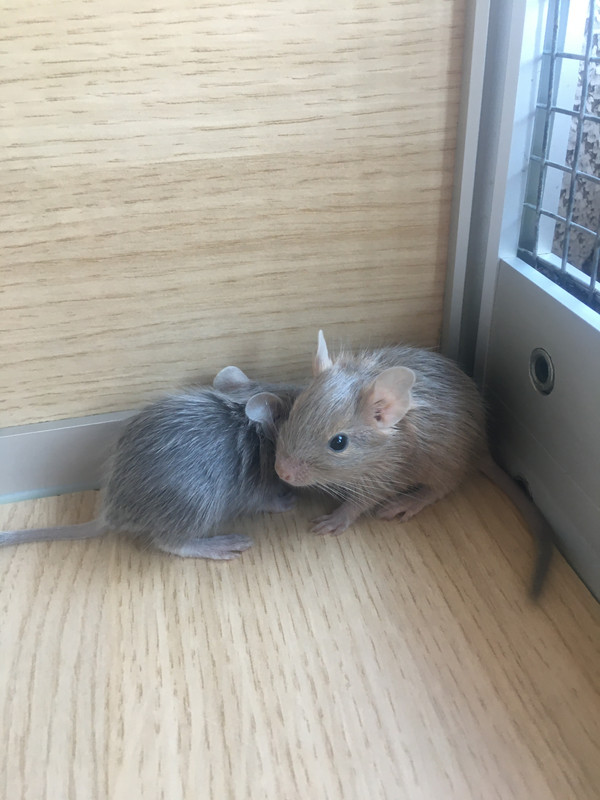 869E6E8D-4542-4542-ACC6-EC866F46C4AE