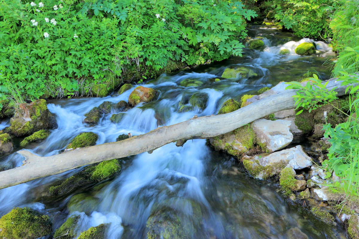 IMG_6160 (9000 x 6000)