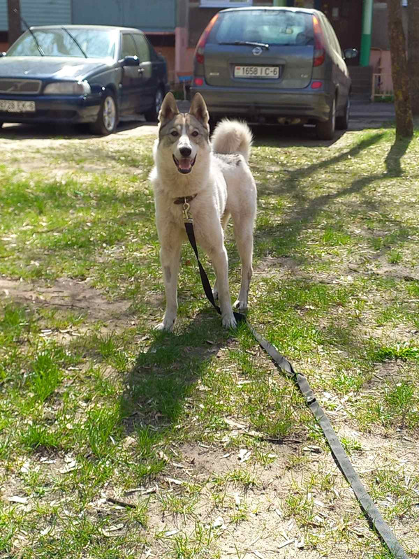 IMG-3c13a02c3e920ca5367a902b9a472eb2-V