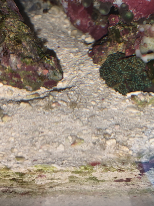 662994E0-1B1D-4BDD-8F84-38B3500B3372