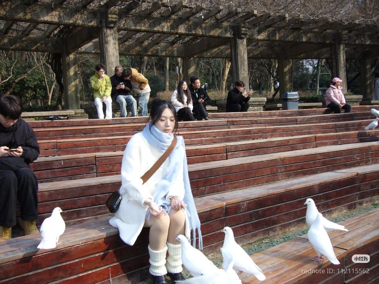 photo 16 2025 12 24 16 00 33