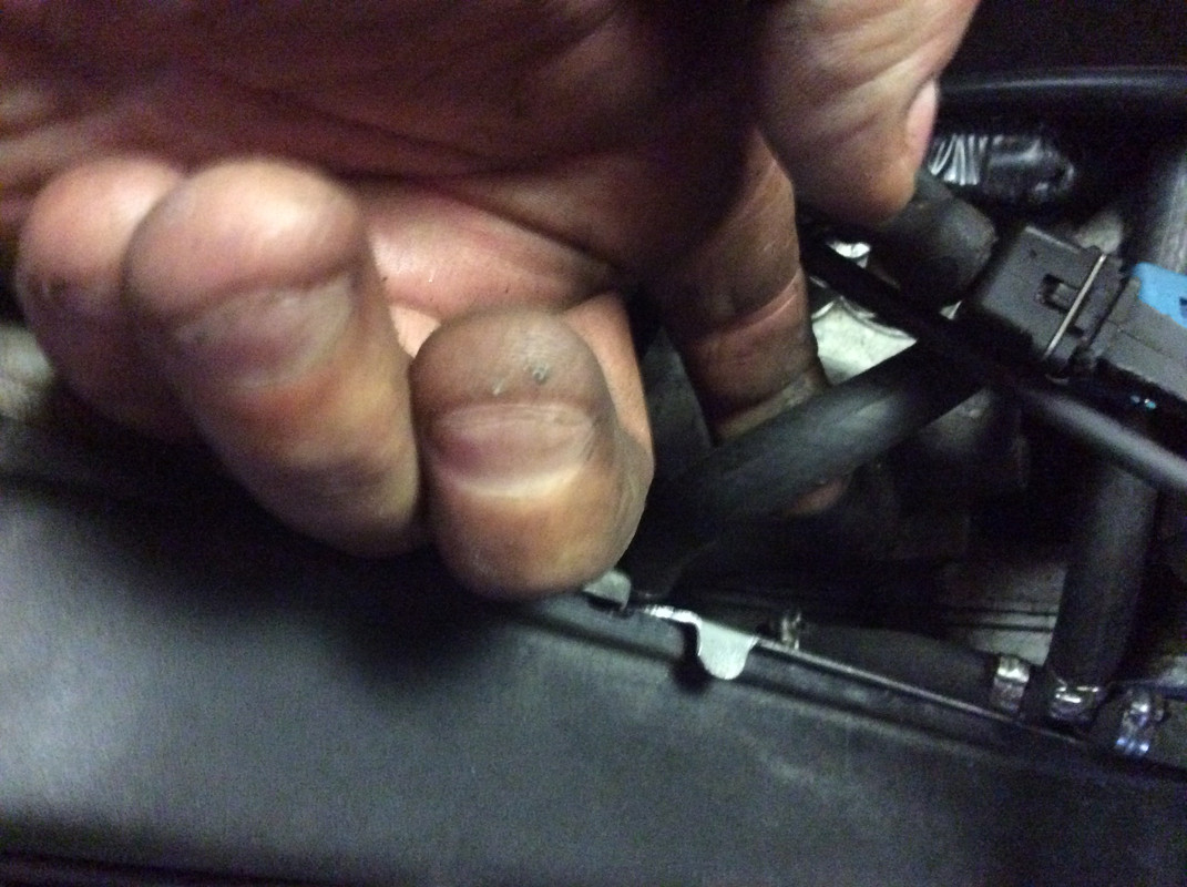 86E4A23D-65C2-430D-BD6F-4E8D77CC0EF9