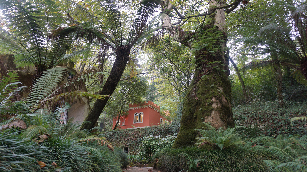 56E1E89C-535A-4438-BA42-1B178E8E96A8