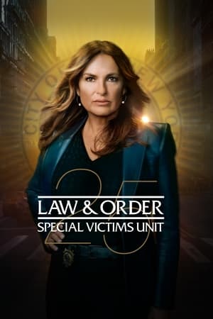 Law And Order Special Victims Unit S25E13 1080p AMZN WEB-DL DDP5 1 H 264-NTb