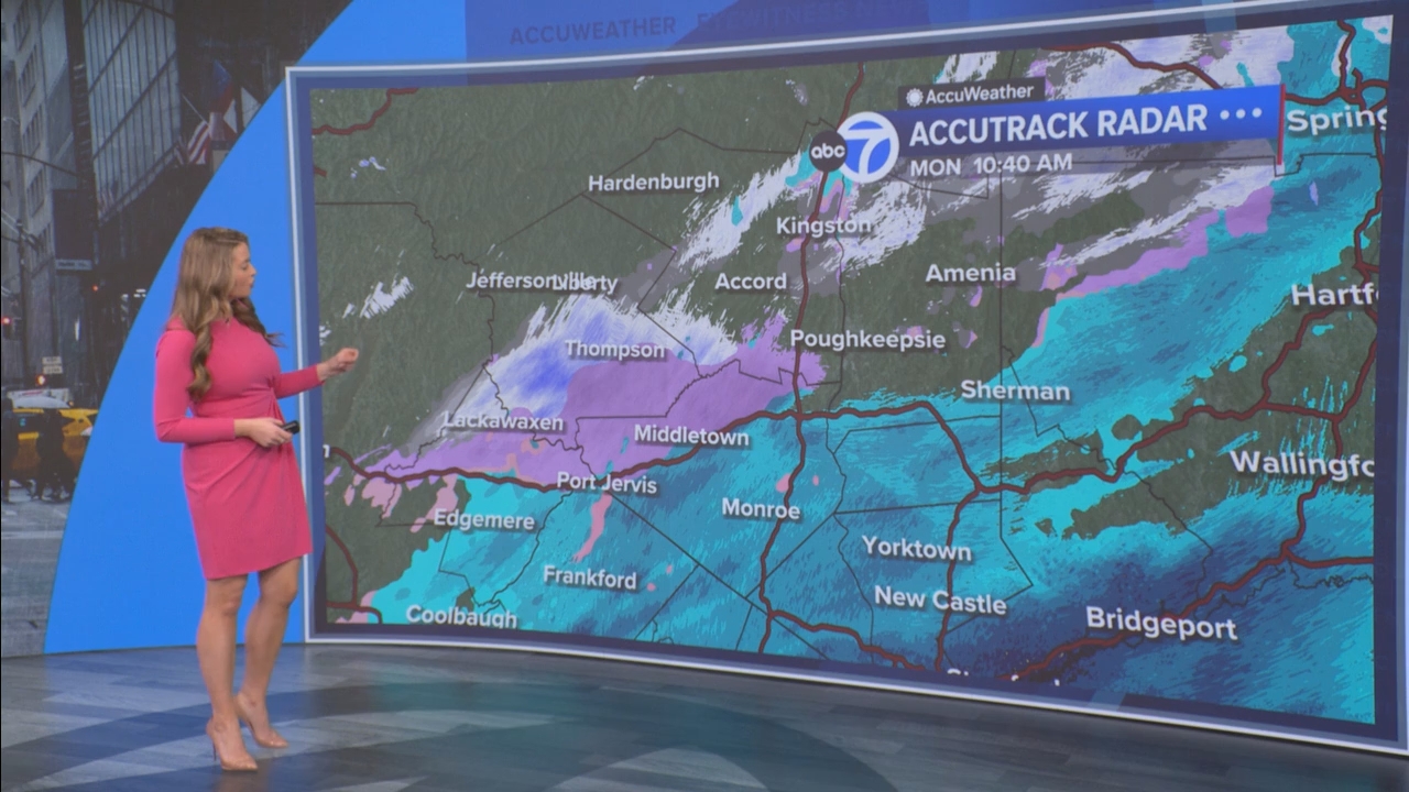 Eyewitness News Mornings at 10_20250407_15001600.ts_snapshot_44.46.661