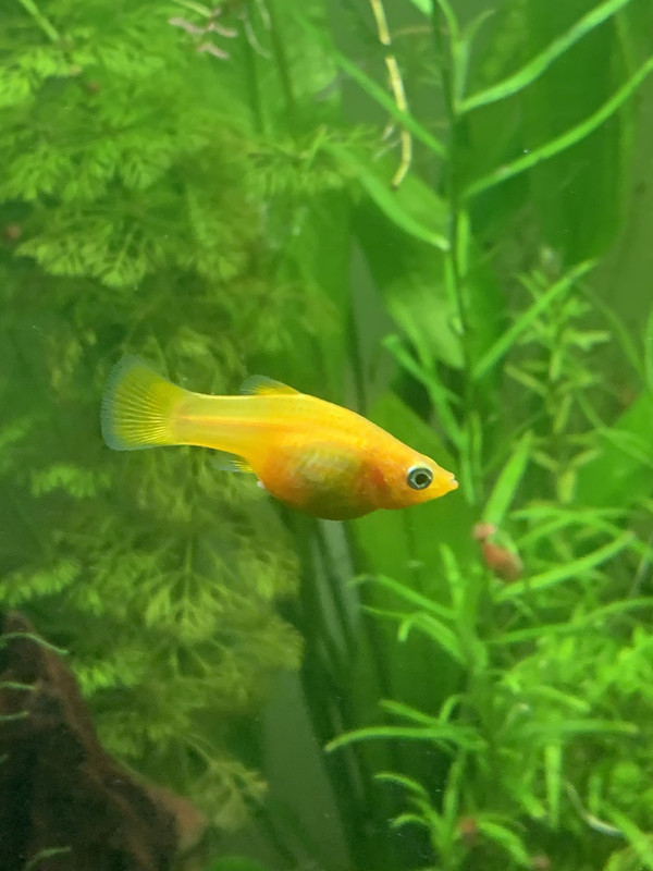 90346BAD-66E3-4FD5-A05E-AFFC1AB84AC7