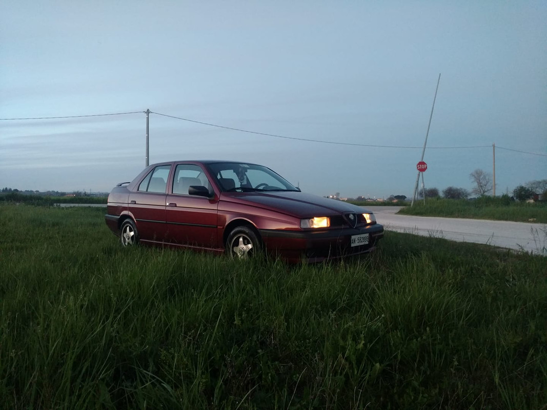 35296_o
