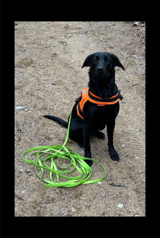 516189037 10163379106076600 6045790555446519779 n