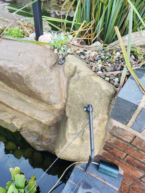 17302185018595342079985052175838