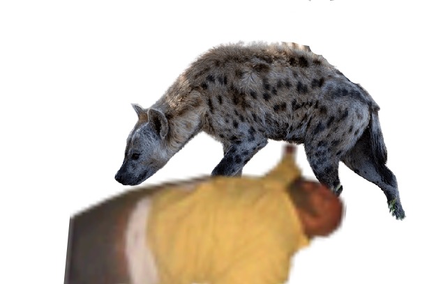 Cupace20221007212634149.png