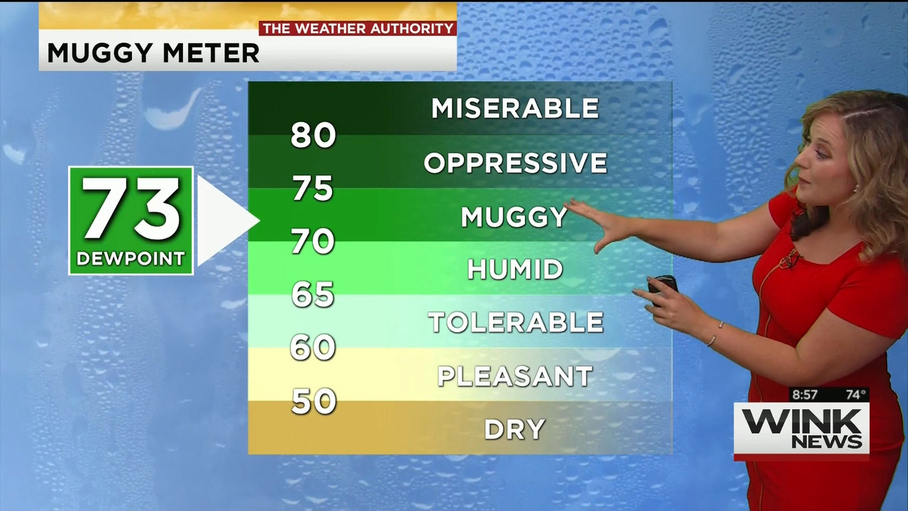 23 May - 14.00.00 - WINK News @ 9 00AM..ts_snapshot_00.01.46_[2020.05.23_17.10.29]