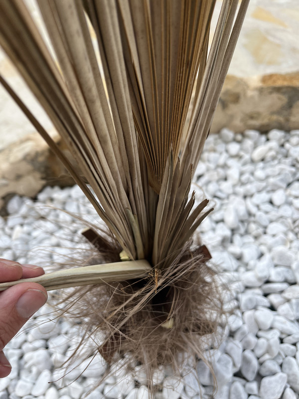 80B47EF1-5520-4BB8-B233-FCD67FEBDDF8