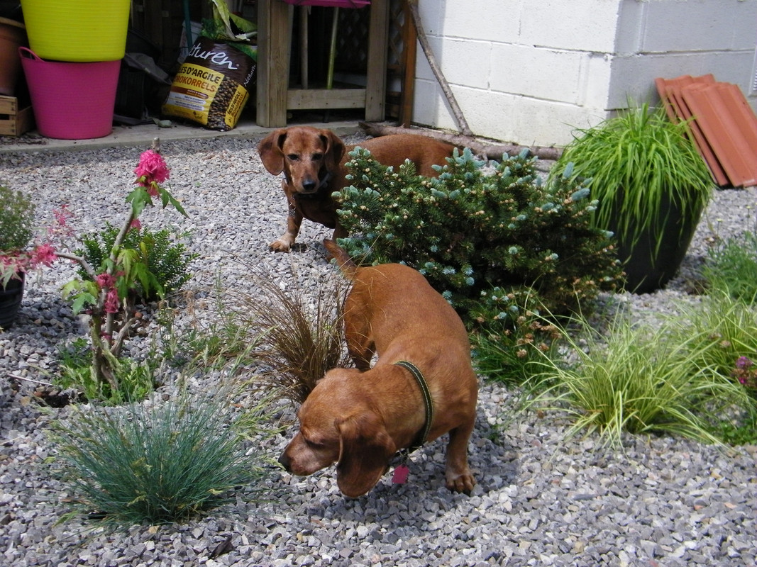 [Image: 201-2882.jpg]