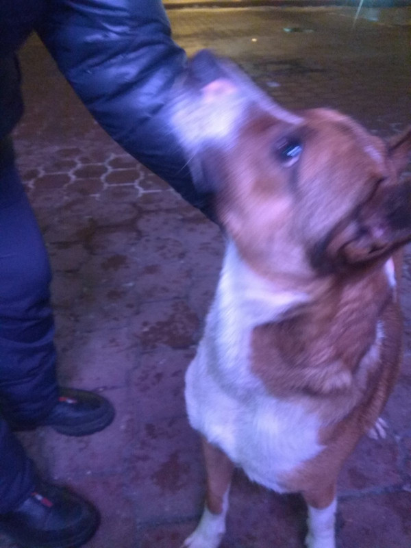 5BDCC4FA-6596-42C4-BF6A-E4F90D91F434