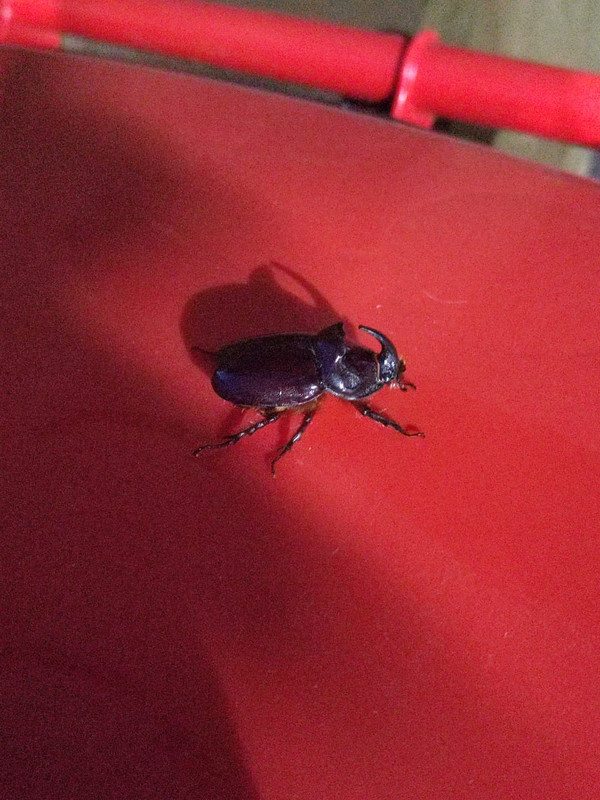 524cc0a2-fc82-4f1f-b9aa-201dabb5964d