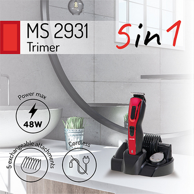 ms-2931.jpg