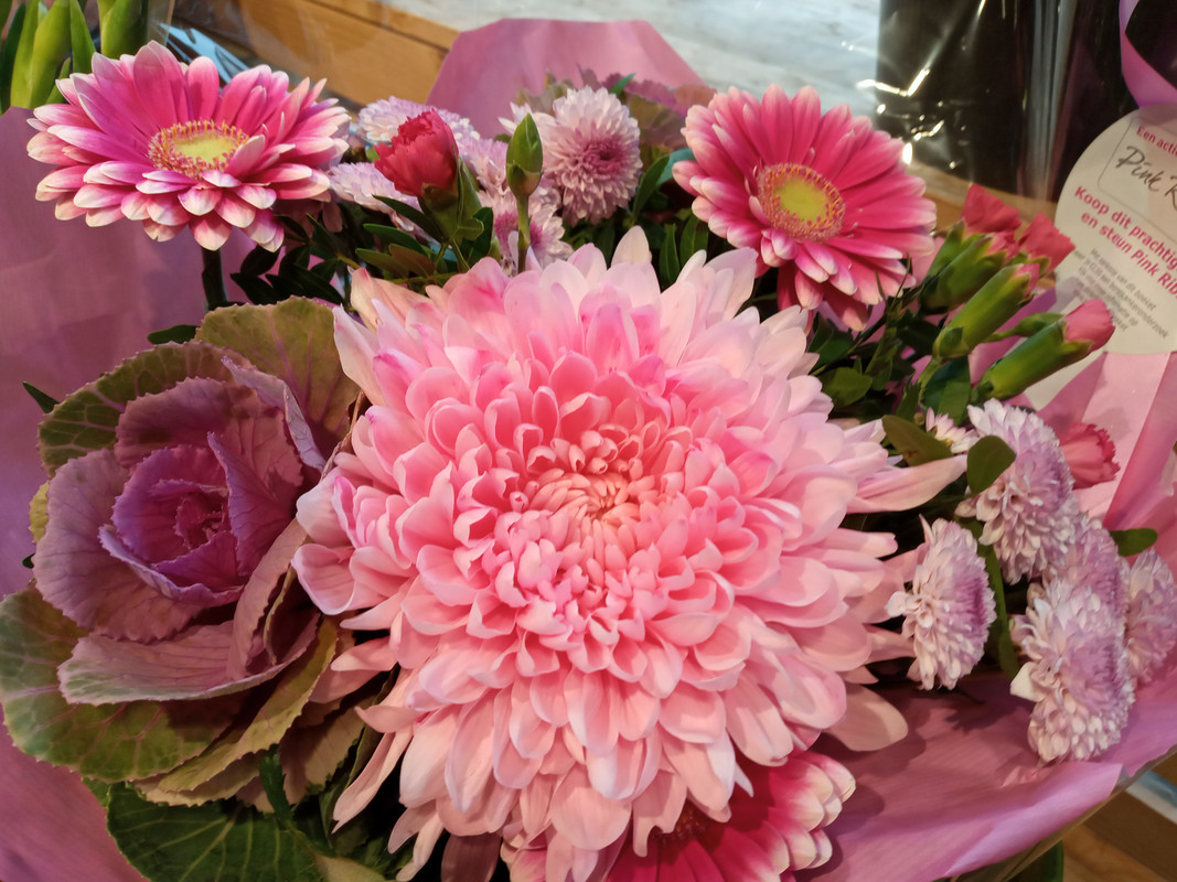 [Image: 20201010-161031.jpg]