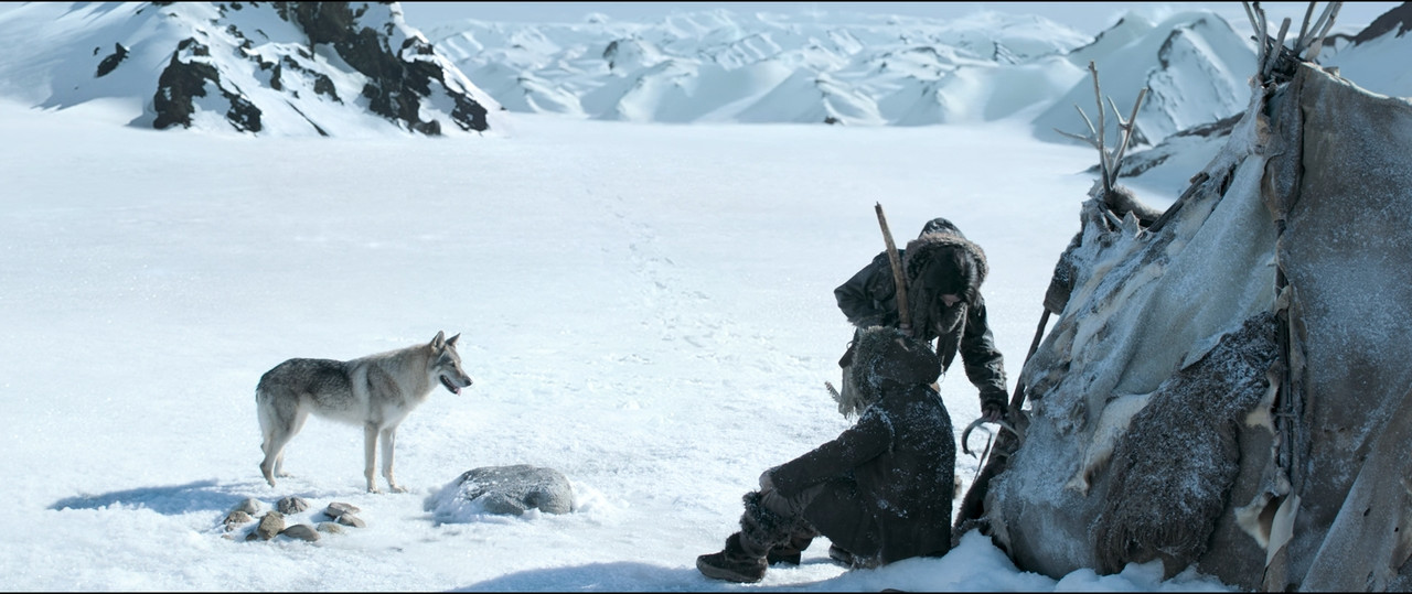 (Thuyết Minh - Sub Việt) Alpha 2018 ViE 1080p Bluray DTS x264-DRONES.mkv_snapshot_01.13.53.804