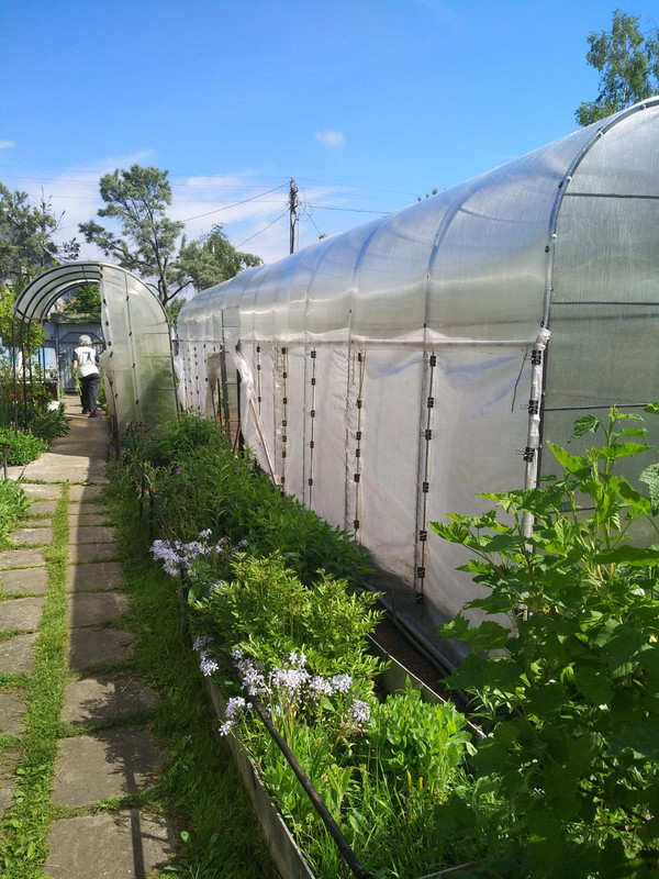 WhatsApp Image 2022-06-14 at 11.14.10 (1)