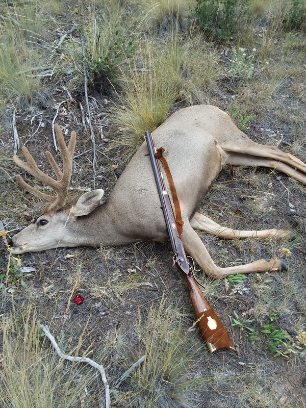 Colorado Mule Deer Buck Muzzleloader Hunt 20190916_152312