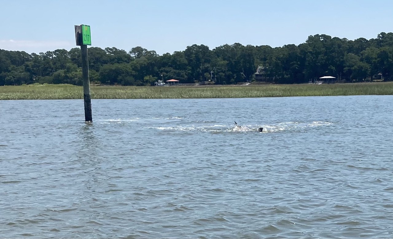 24B048F7-C5F7-4083-862C-3922AD449F38