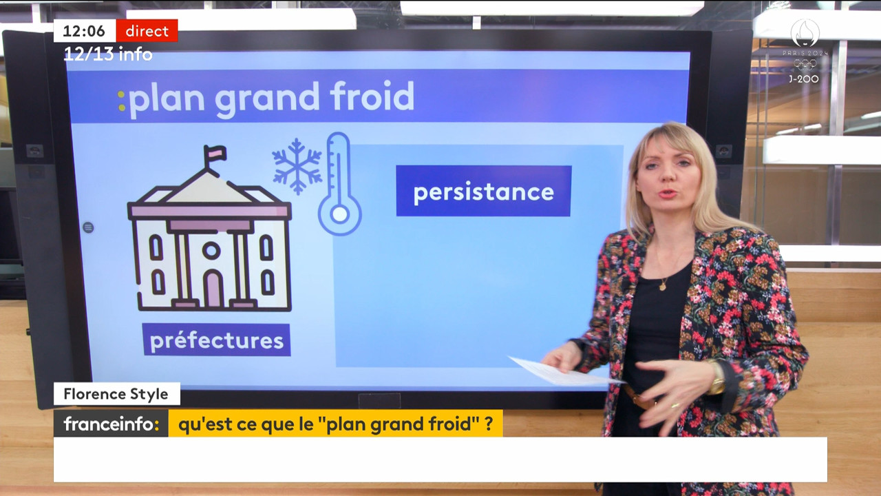 12-13 info (Franceinfo)_2024_01_08_10_59_89.ts_snapshot_00.07.47.532