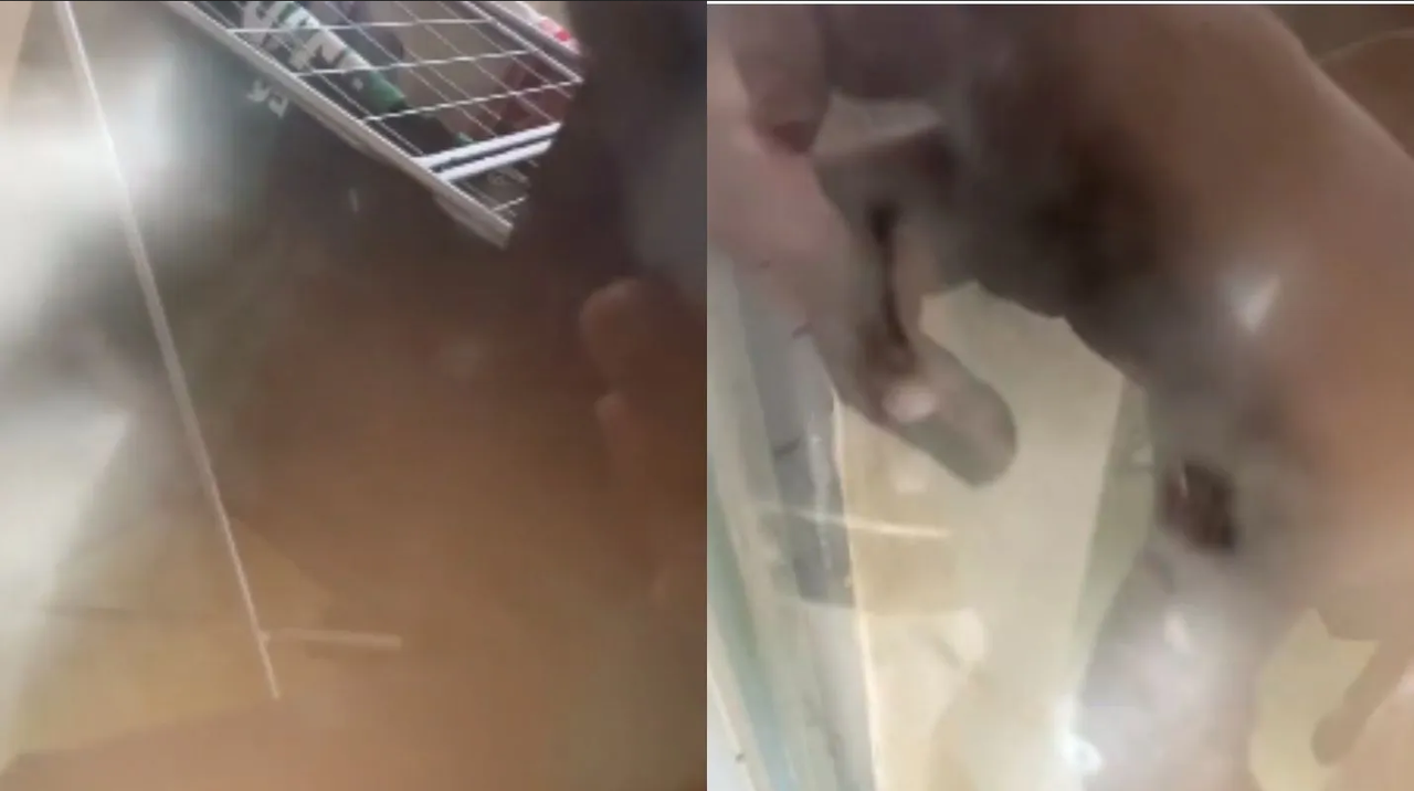 Hombre queda encerrado en el balcón de su casa y pide ayuda a su gato