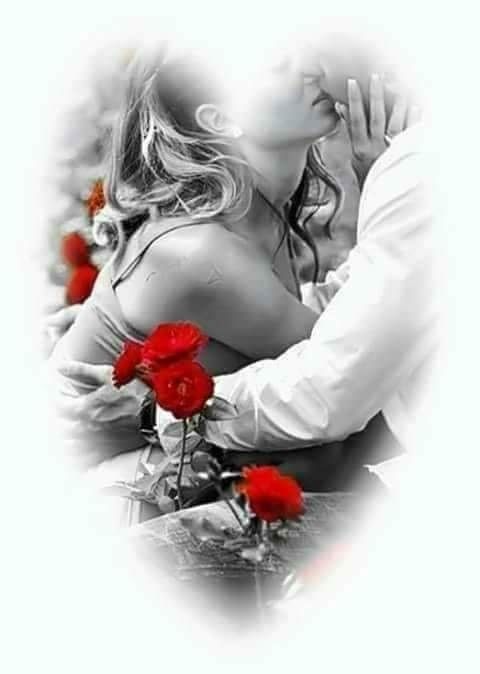 8838111bd88cb421b74c0388a0953b56