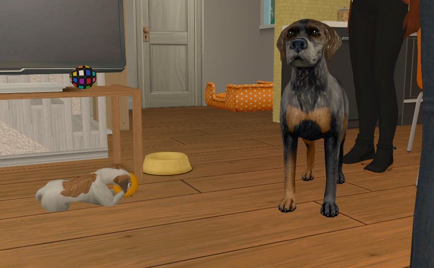 Sims2-EP9-2021-03-06-17-20-52-89