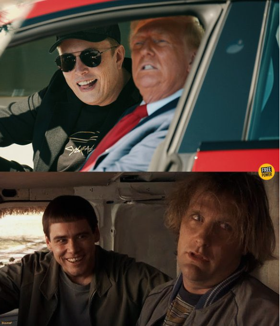 [Image: Dd.png]