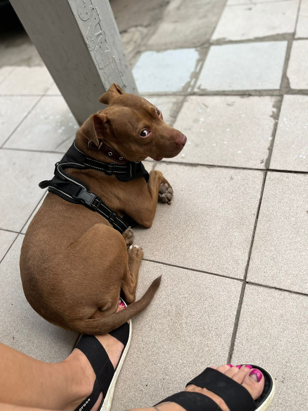 4F84925C-7977-4BA6-AA66-D84009D0DB45