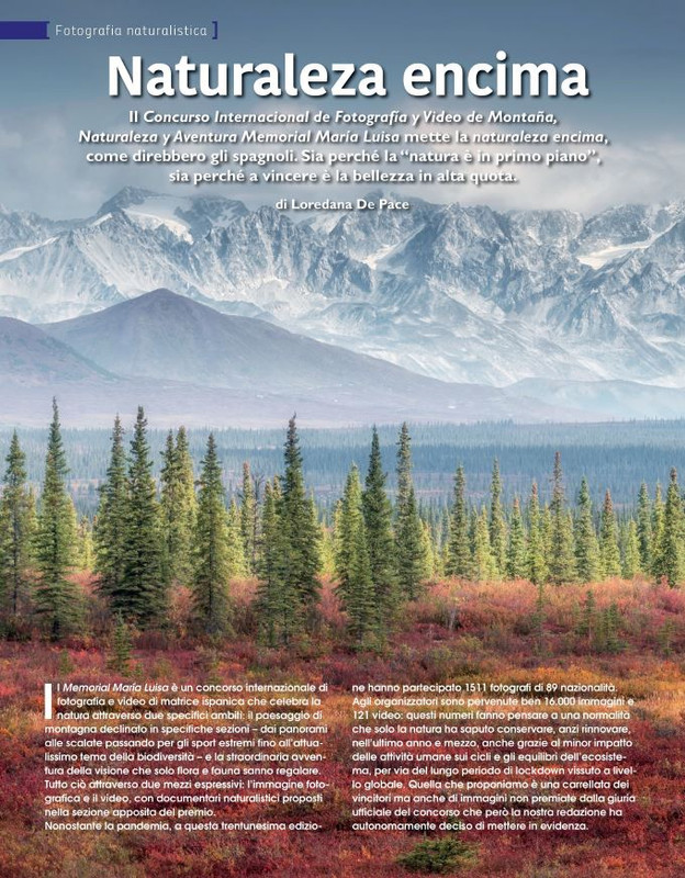 FOTO Cult Lug 2021 (1)