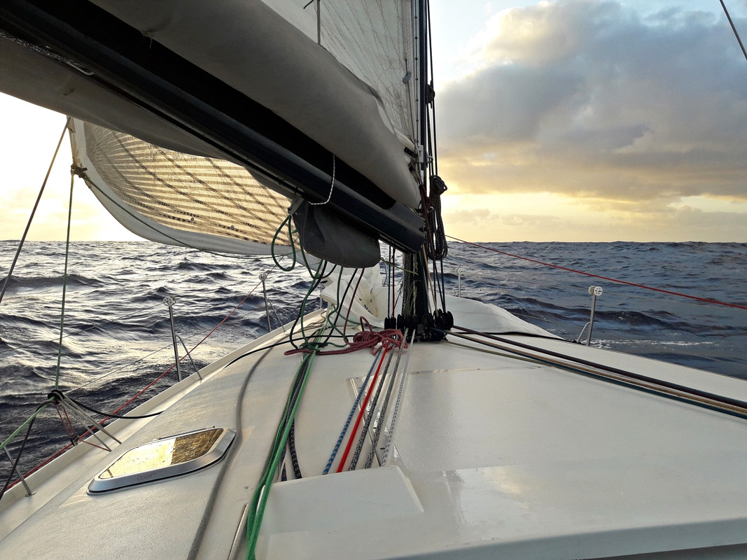 [Imagen: 20200208-185723.jpg]