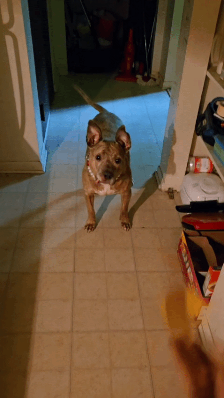 20250619-152252-2.gif