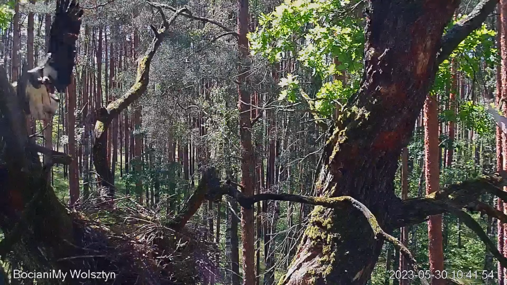 Zrzut ekranu (15834)