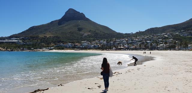 DÍA 3: PENINSULA DEL CABO - Sudáfrica y Seychelles 2018 - Una Honeymoon llena de vida (5)