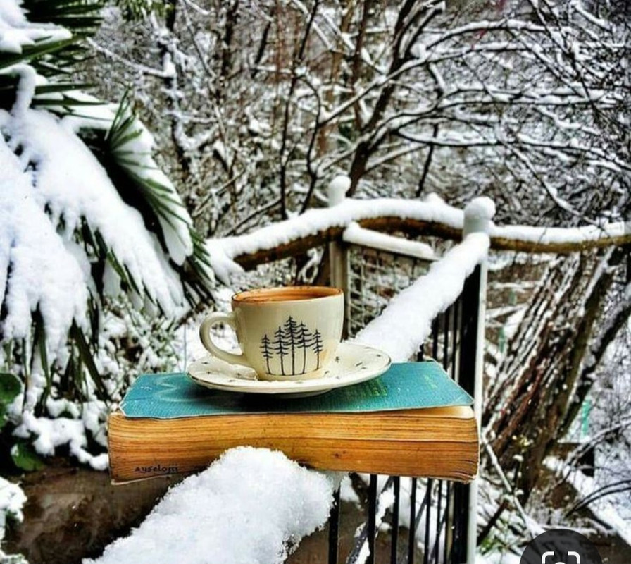 Screenshot_20240104_220455_Pinterest