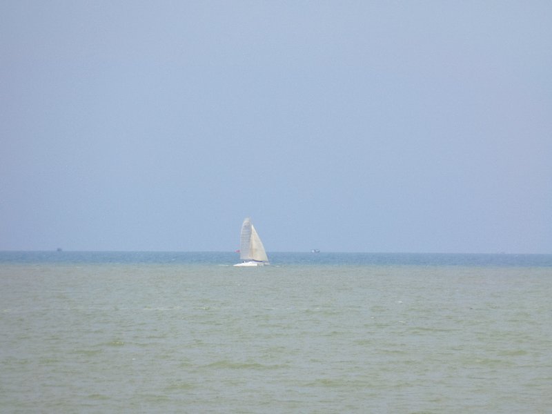 [Image: SAM-3787.jpg]