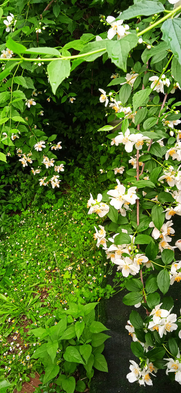 IMG_20210531_210807